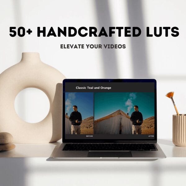 50+ Handcrafted LUTs