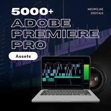 5000+ Adobe Premiere Assets