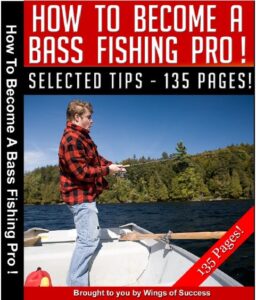 How To Become A Bass Fishing Pro